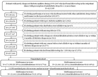 Metformin Use Is Associated With a Lower Incidence of Hospitalization for Atrial Fibrillation in Patients With Type 2 Diabetes Mellitus